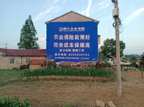  洛川墙体广告的优劣势你知道吗？